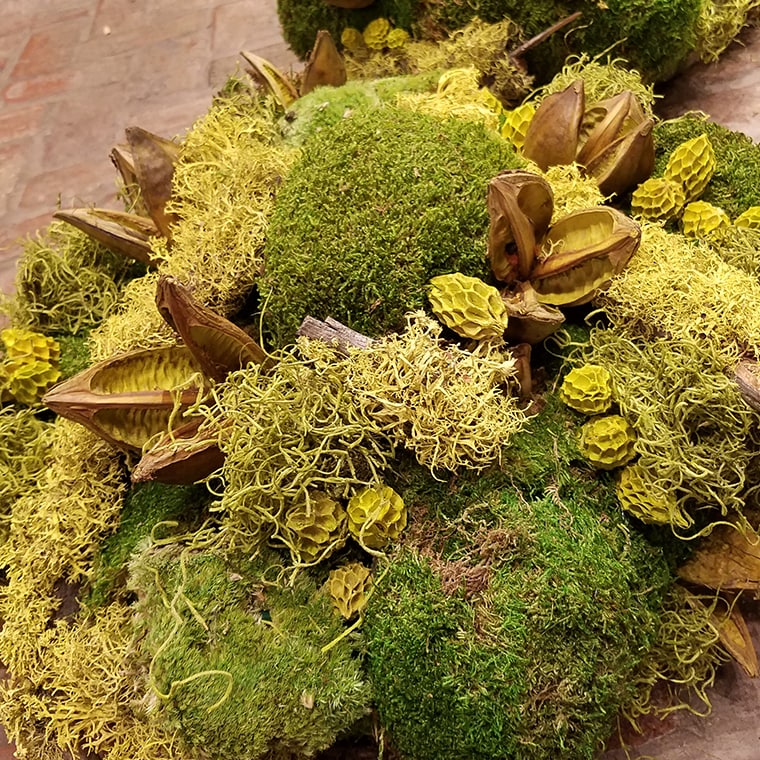 Floral and Decor Preserved and Dried Flowers